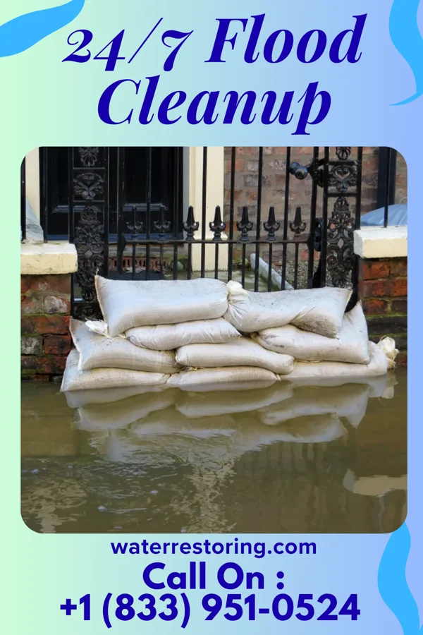 24/7 Flood Cleanup in Worden, IL