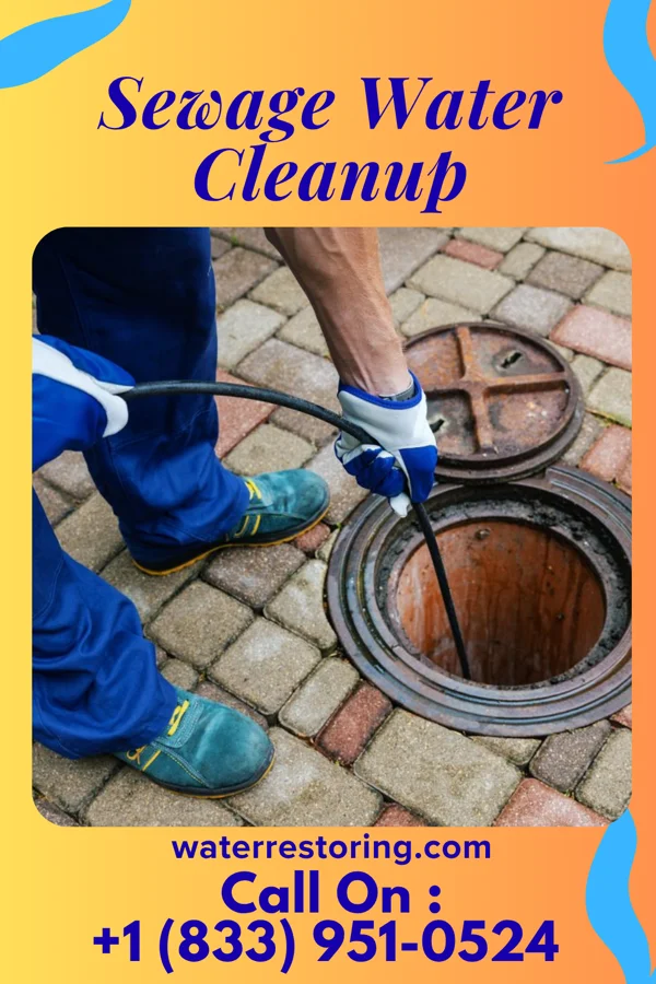 Sewage Water Cleanup in Worden, IL