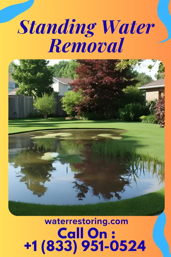 Standing Water Removal in Worden, IL